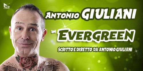 Antonio Giuliani 'Evergreen'